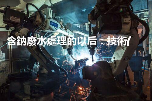 含鈉廢水處理的以后：技術(shù)革新與環(huán)保挑戰(zhàn)！